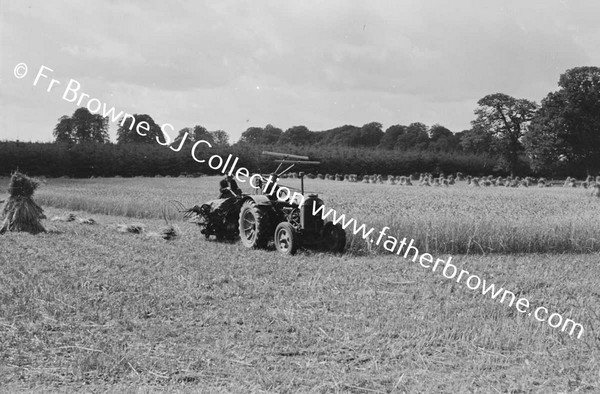 HARVESTING AT ST MARY'S THE HELPERS